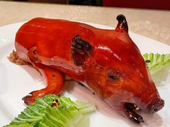 乳猪焗饭-8餐厅(新葡京酒店)