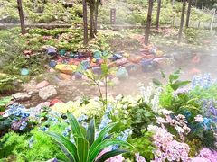 -洛阳白云山景区