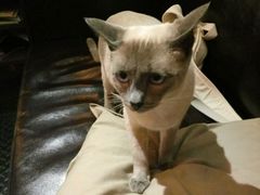 -MIKAKU(万达广场上海宝山店)