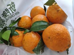 -新隆嘉 供销超市(修竹商场店)