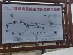 -大岭沟猕猴桃谷风景区