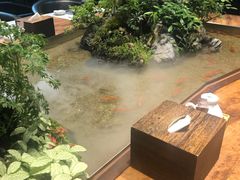-森味薪火烧•烧鸟居酒屋•日本料理(望京店)