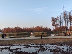 -艾溪湖湿地公园