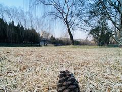 -元大都城垣遗址公园