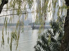 -橘子洲景区