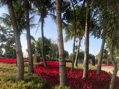 -星巴克臻选(深圳嘉里建设广场店)