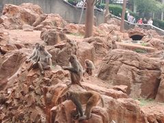 -昆明动物园