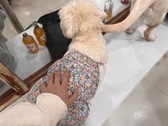 -共舞时光猫咖·狗咖(新街口店)