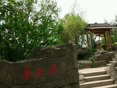 -武清南湖绿博园