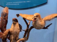 -国家自然博物馆