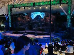 -夜间野生动物园
