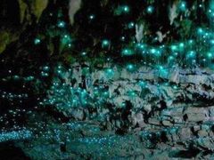 -怀托摩萤火虫洞