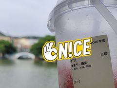 -奈雪的茶(大梅沙8号仓店)