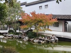 -秋霞圃