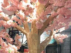 -阿鹏故事野生菌火锅(双廊古镇店)