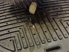 -齐函杨佳清真烤肉(鑫海店)