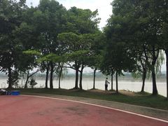 -鹤之洲湿地公园