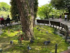 -水前寺成趣园