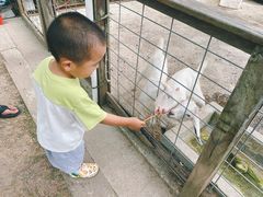 -前小桔亲子创意农场·草莓采摘·露营烧烤