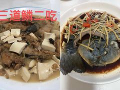 -煲来饱去冷水鱼