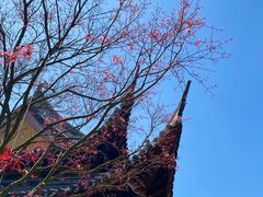 -龙华寺