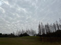 -成都保利公园皇冠假日酒店(熊猫基地店)