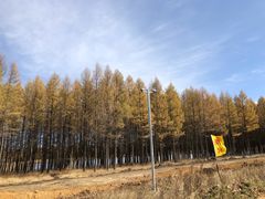 -塞罕坝国家级自然保护区