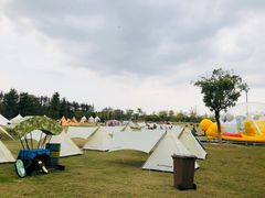 -上海长兴岛郊野公园