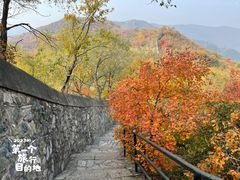 -香山公园