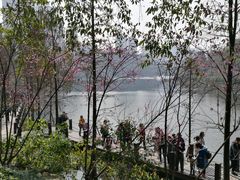 -重庆彩云湖湿地公园