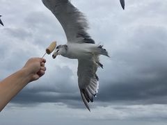 -海驴岛(荣成市)