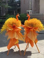 -遇见爱婚庆鲜花(无为铁山路店)