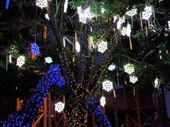 -七彩云南欢乐世界