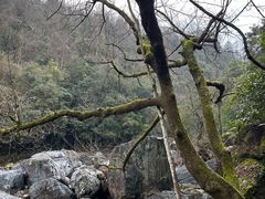 -石台牯牛降景区