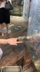 -Zoolung Zoolung动物主题公园(海信广场店)