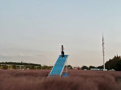 -嘉北郊野公园