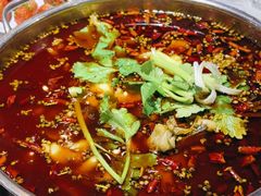 -蛙蛙鸡冷锅鱼(驷马桥店)