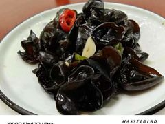 -呼吸森林·生态农庄农家乐私房菜