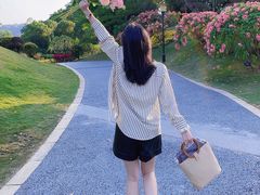 -东莞植物园