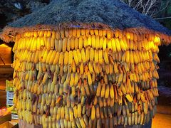 -长春市南湖公园