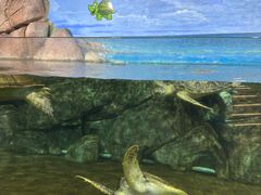 -福州罗源湾海洋世界旅游区