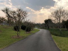 -中国科学院西双版纳热带植物园