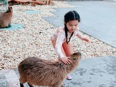 -郑州银基黄帝宫御温泉