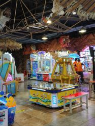 -卡通尼·Safari非洲探索乐园·生日会(金桥国际商业广场店)