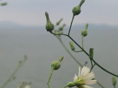 -西山风景区