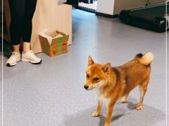 -博纳私人订制健身(中集美兰湖店)