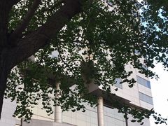 -艾维克大厦-停车场