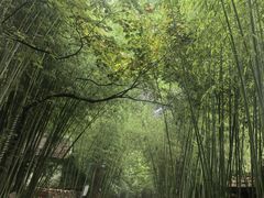 -竹泉村旅游度假区