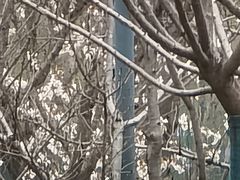-西北湖绿化广场