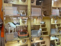 -平行世界·猫咖(首经贸店)